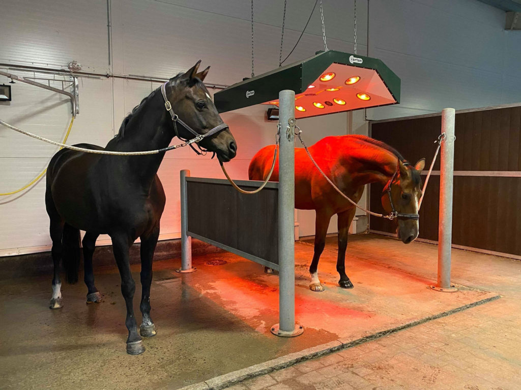 Vaskespilt og solarium